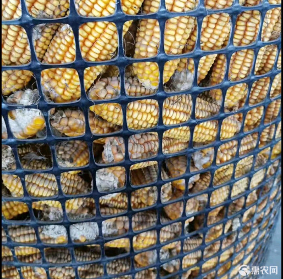 塑料网格防护网养殖菜园栅栏户外拦鸡网子圈玉米养鸡围栏网圈山地